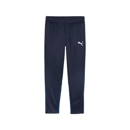 Puma teamGOAL Training Pants Herr