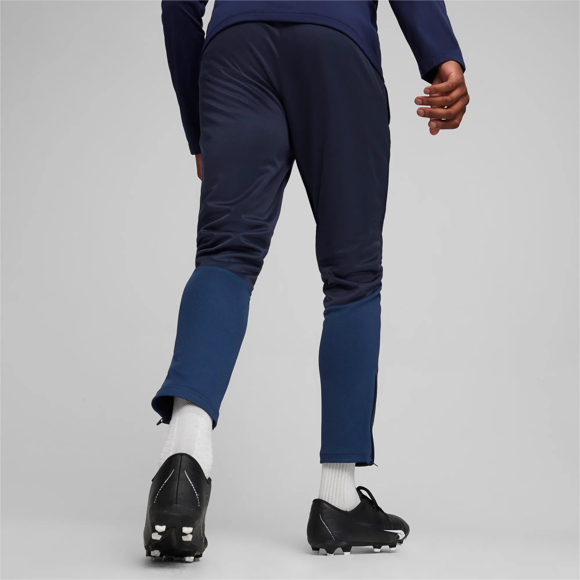 Puma teamGOAL Training Pants Herr