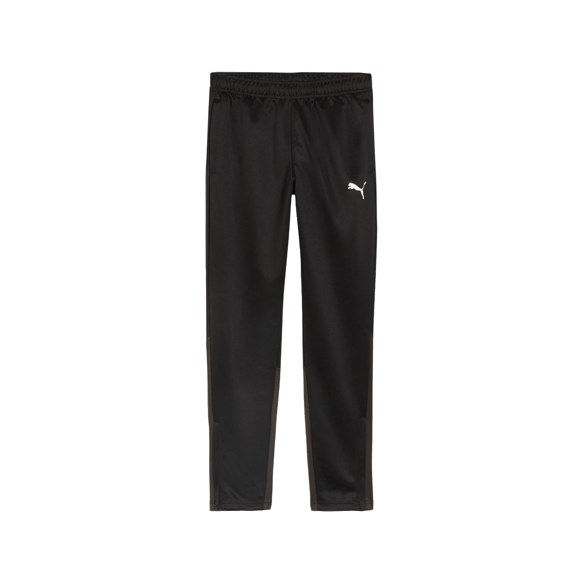 Puma teamGOAL Training Pants Barn