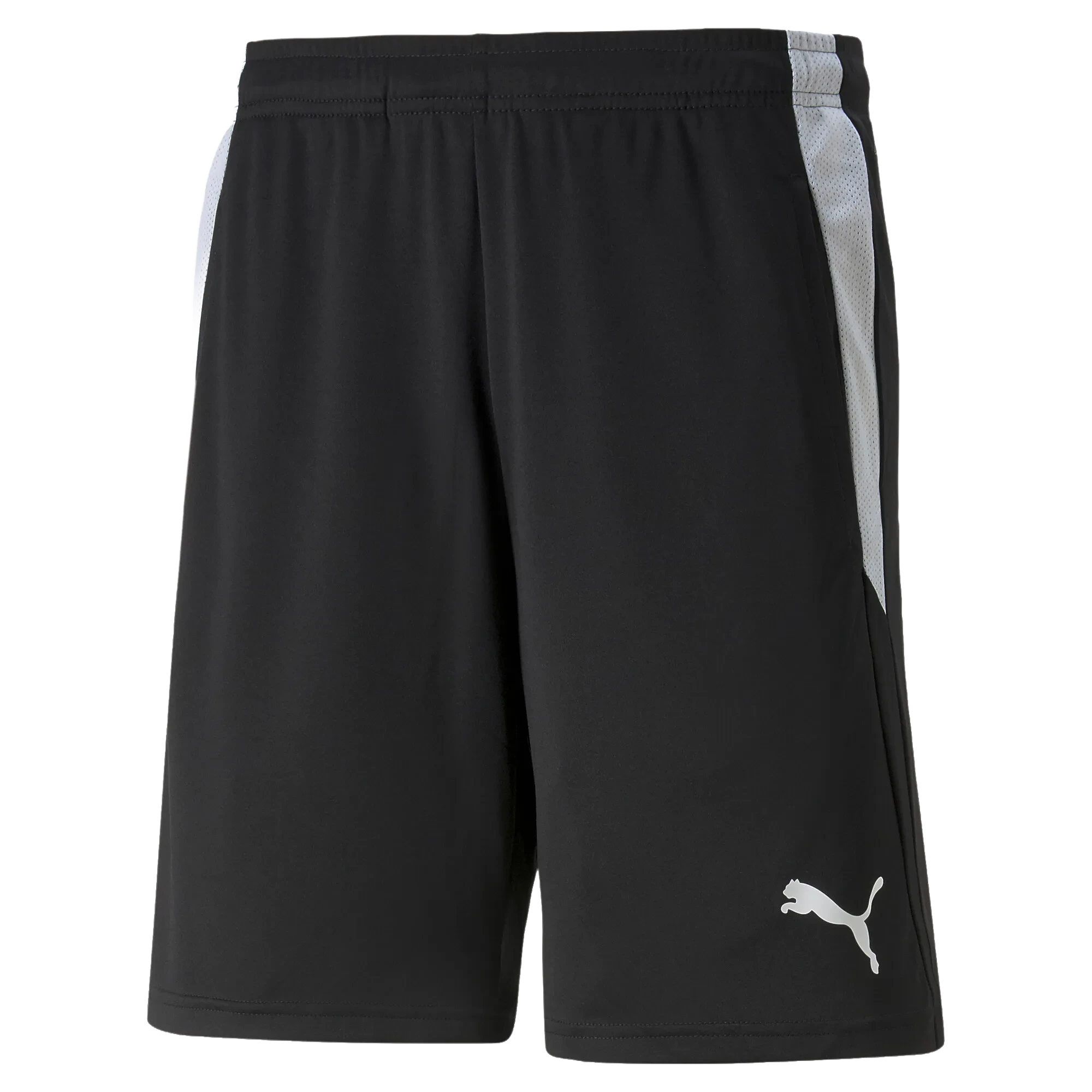 Puma teamLIGA Referee Shorts Herr
