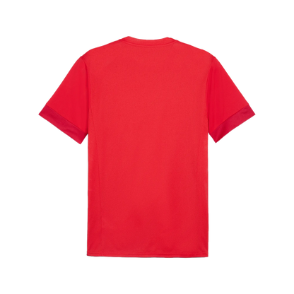 Puma teamGOAL Matchday Jersey Herr