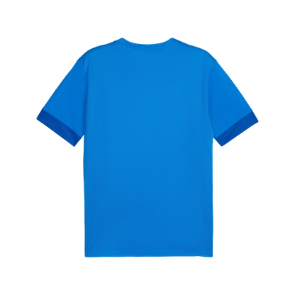 Puma teamGOAL Matchday Jersey Herr