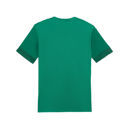 Puma teamGOAL Matchday Jersey Herr