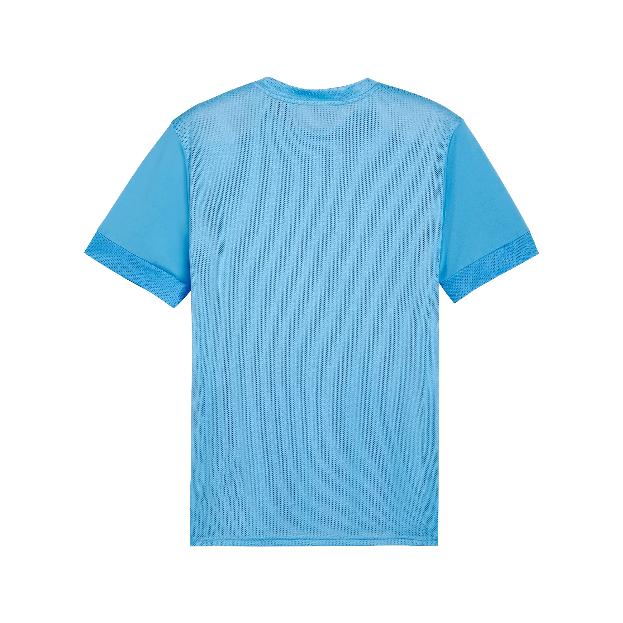 Puma teamGOAL Matchday Jersey Herr