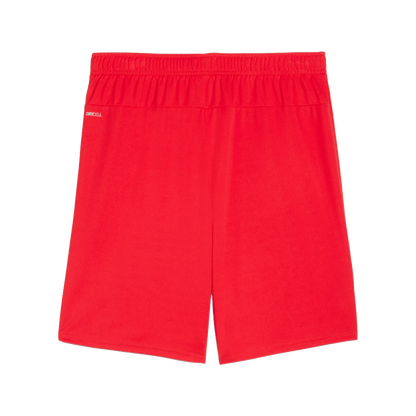 Puma teamGOAL Shorts Herr