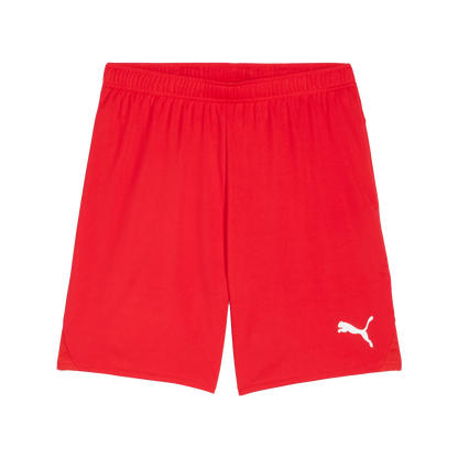Puma teamGOAL Shorts Herr