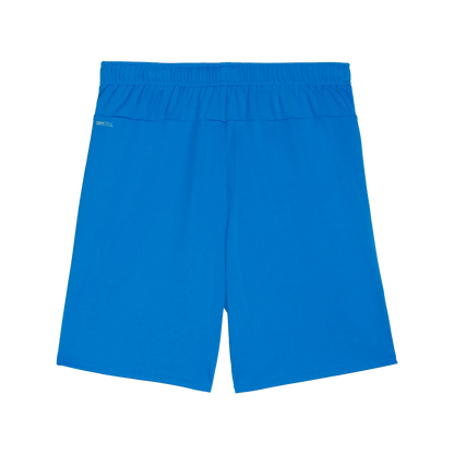 Puma teamGOAL Shorts Herr