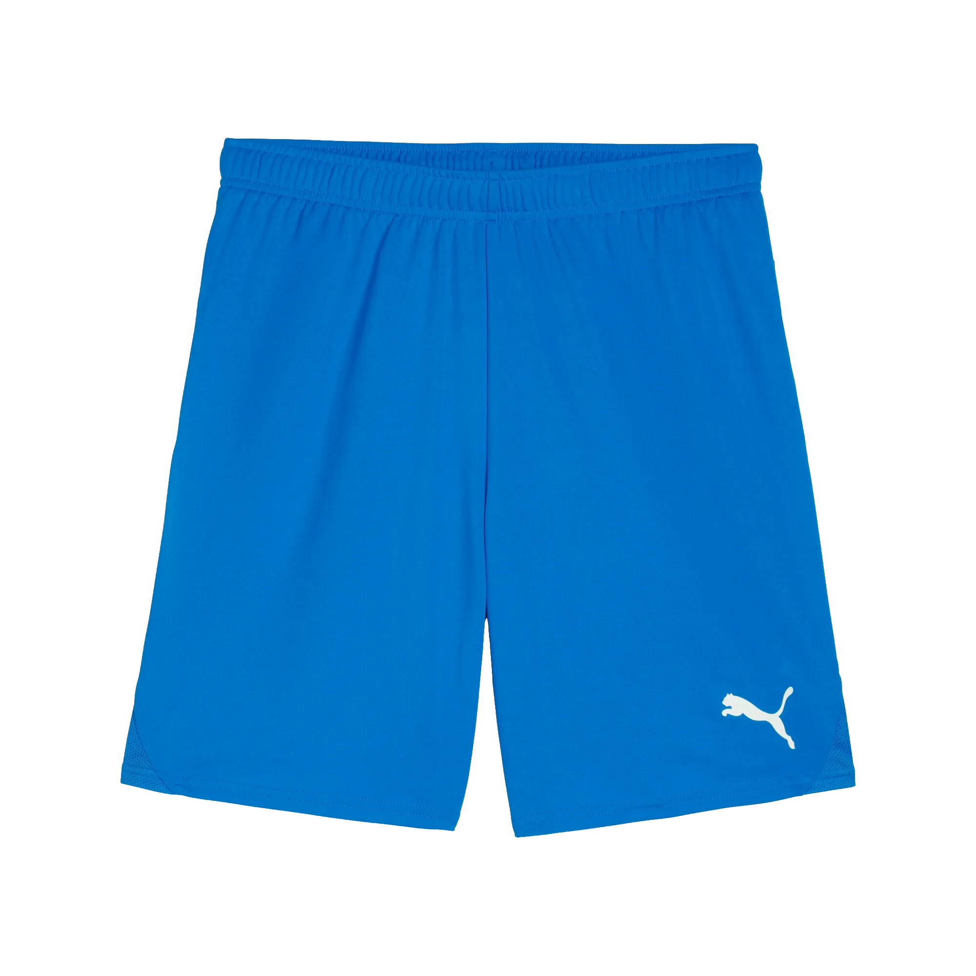 Puma teamGOAL Shorts Herr