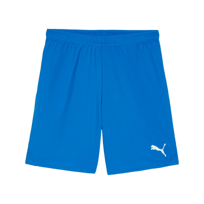 Puma teamGOAL Shorts Herr
