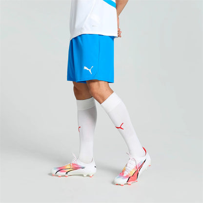 Puma teamGOAL Shorts Herr