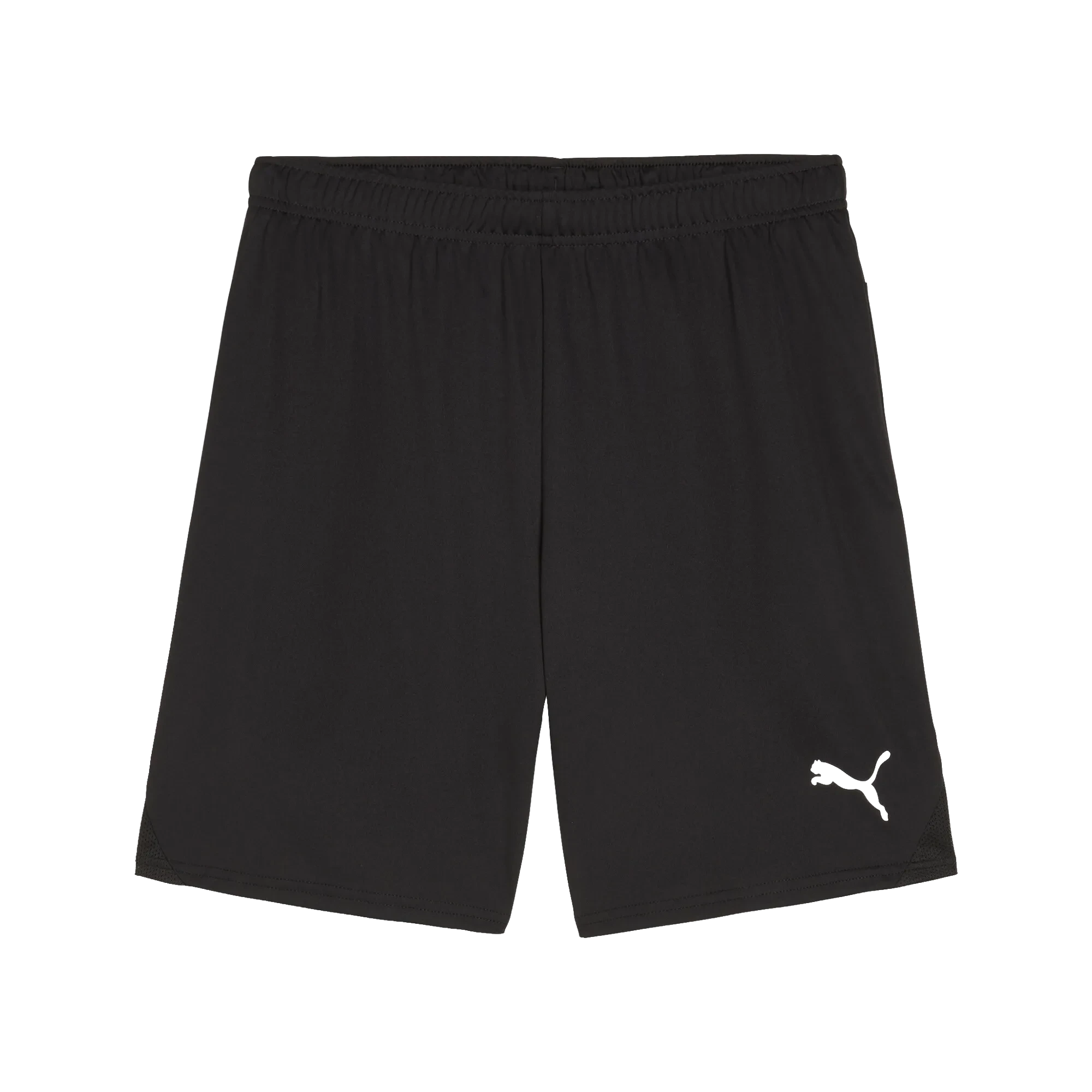Puma teamGOAL Shorts Herr