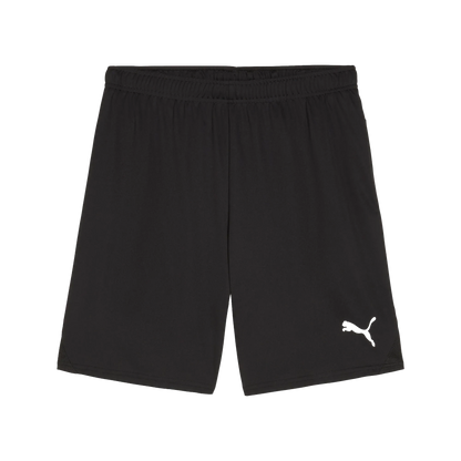 Puma teamGOAL Shorts Herr