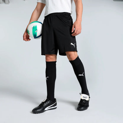 Puma teamGOAL Shorts Herr