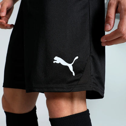 Puma teamGOAL Shorts Herr