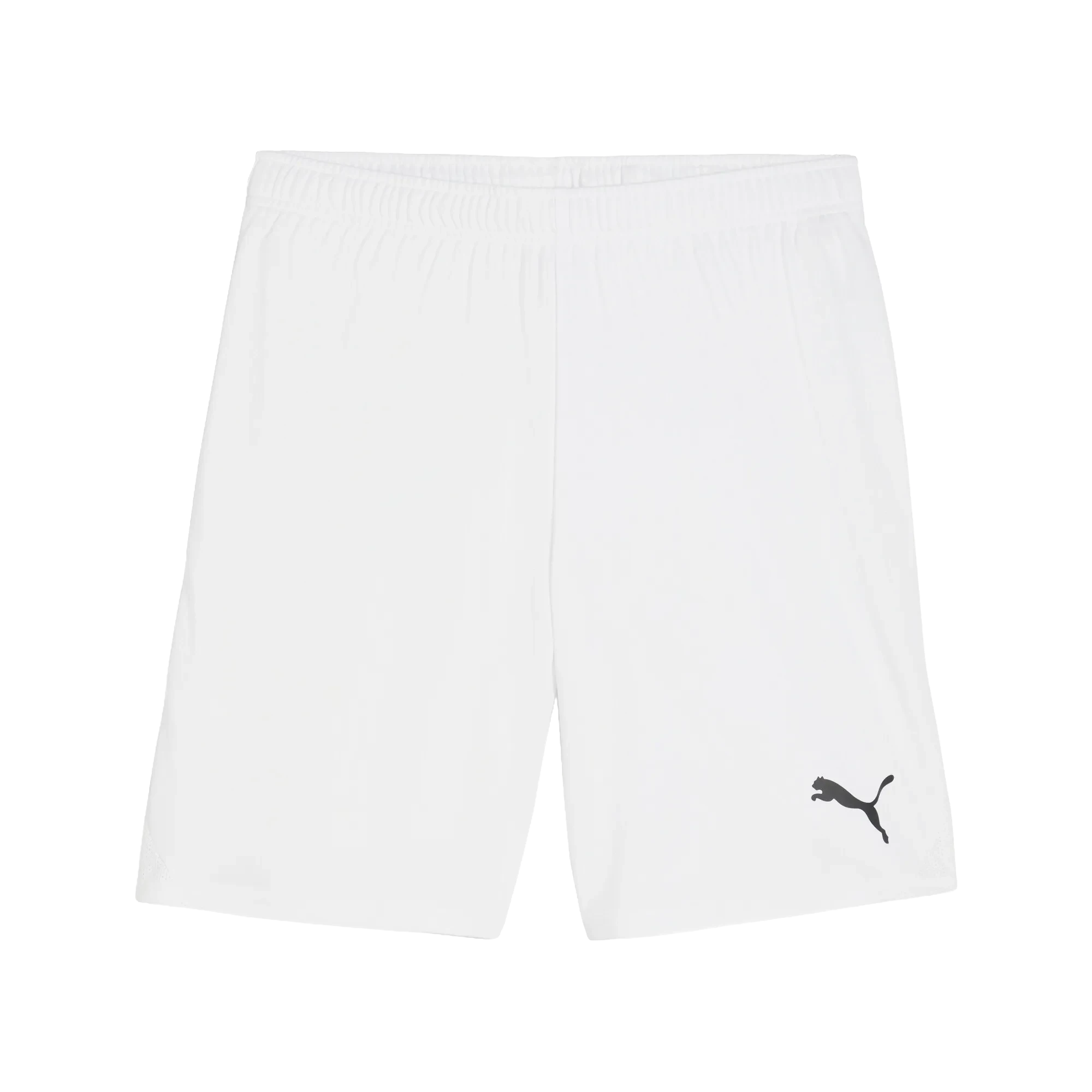 Puma teamGOAL Shorts Herr