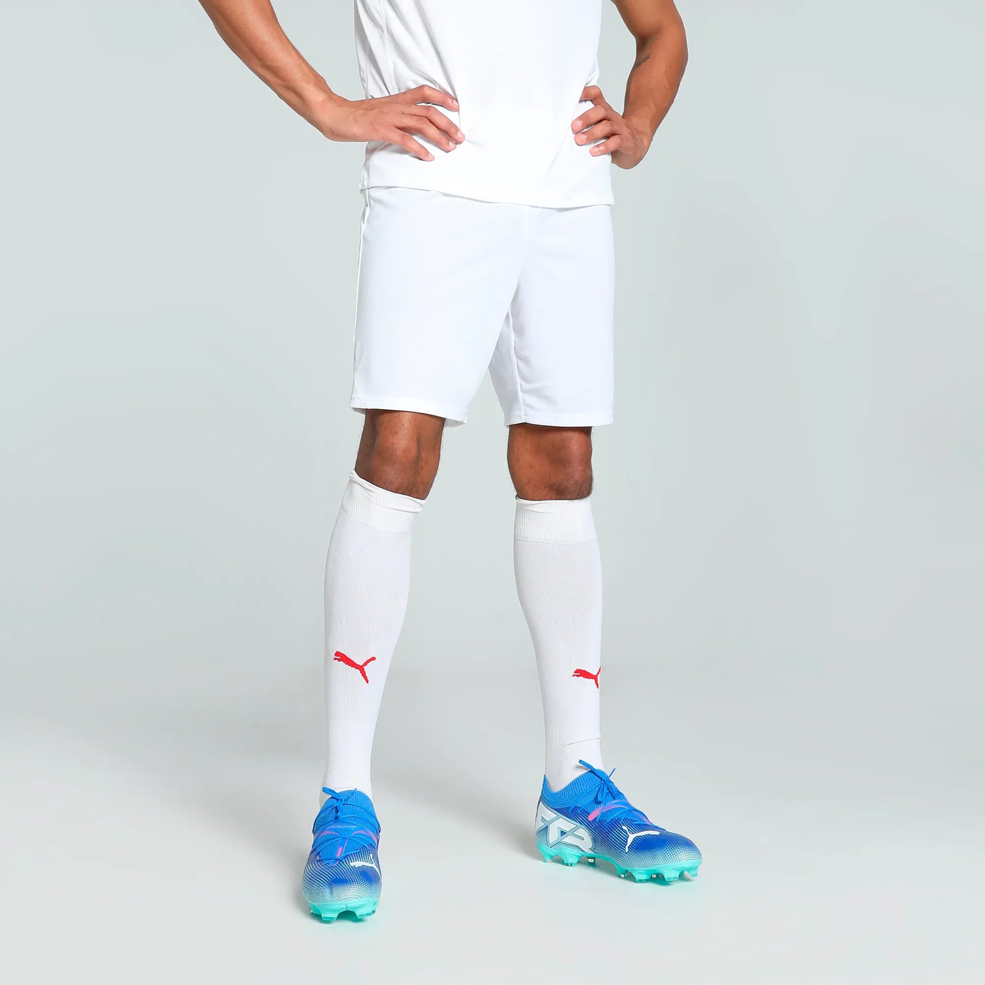 Puma teamGOAL Shorts Herr