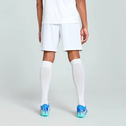 Puma teamGOAL Shorts Herr