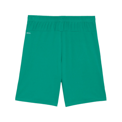 Puma teamGOAL Shorts Herr