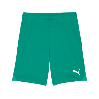 Puma teamGOAL Shorts Herr