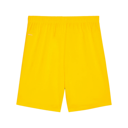 Puma teamGOAL Shorts Herr