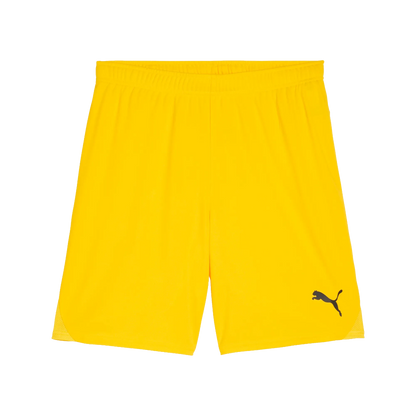 Puma teamGOAL Shorts Herr