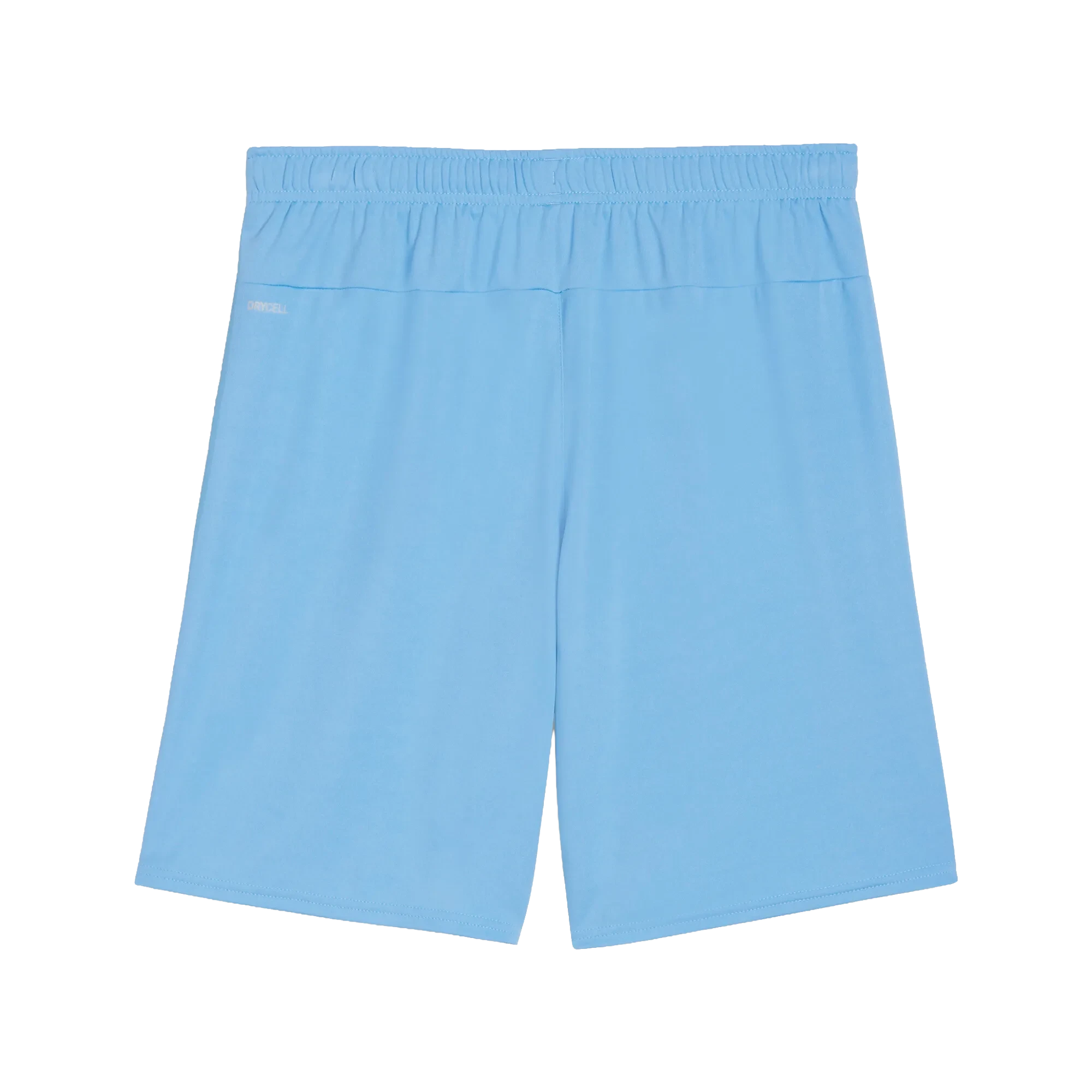 Puma teamGOAL Shorts Herr