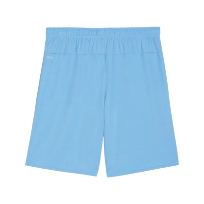 Puma teamGOAL Shorts Herr