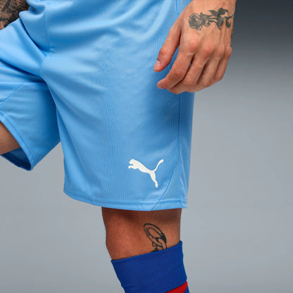 Puma teamGOAL Shorts Herr