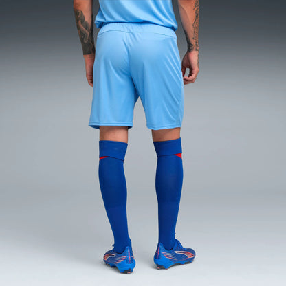 Puma teamGOAL Shorts Herr