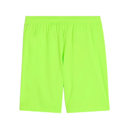 Puma teamGOAL Shorts Herr