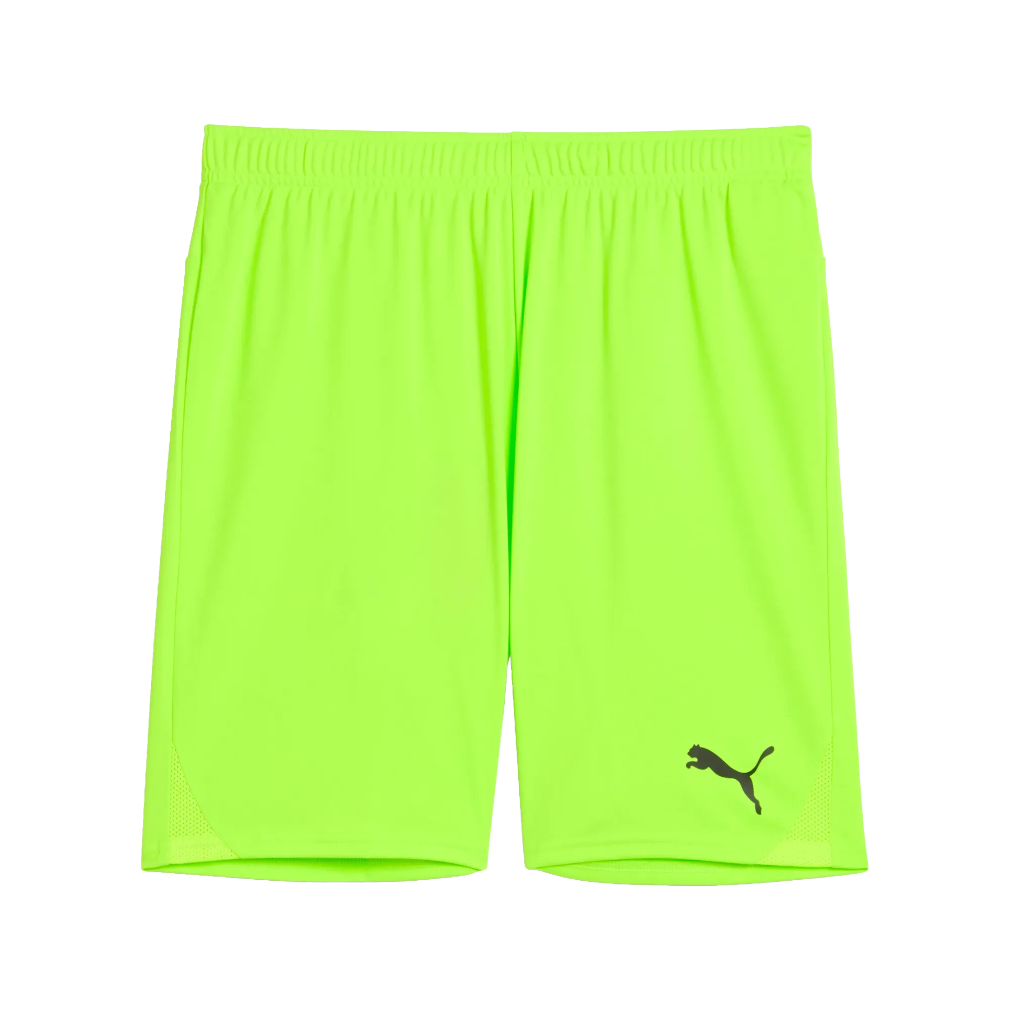 Puma teamGOAL Shorts Herr