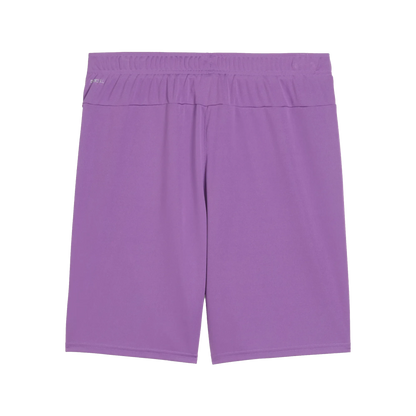 Puma teamGOAL Shorts Herr