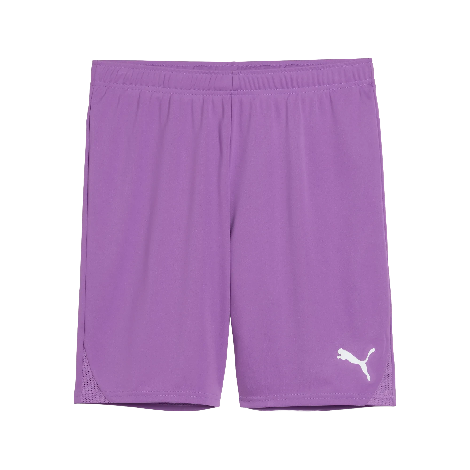 Puma teamGOAL Shorts Herr