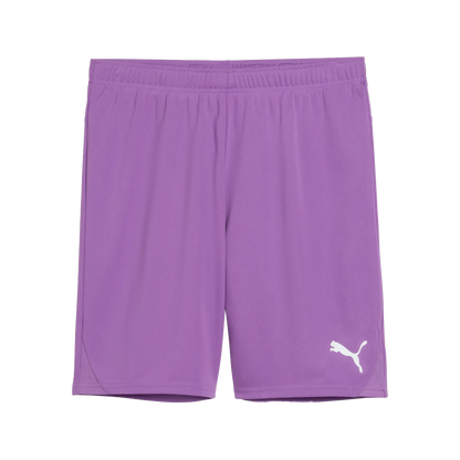 Puma teamGOAL Shorts Herr