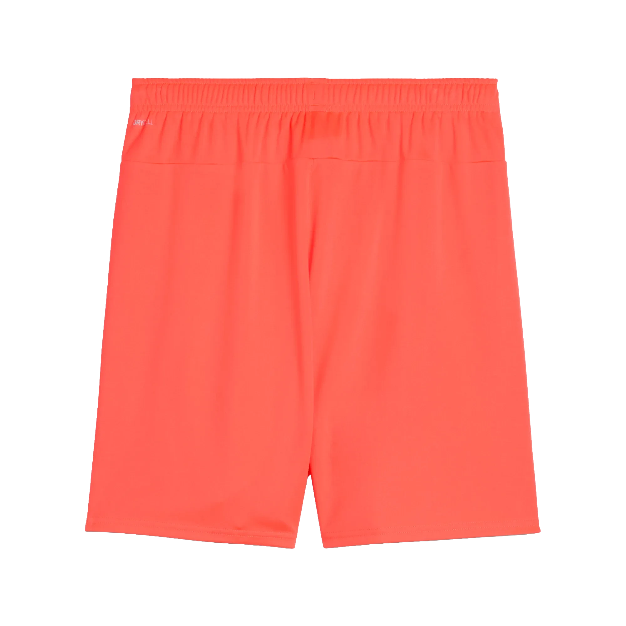 Puma teamGOAL Shorts Herr