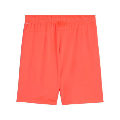 Puma teamGOAL Shorts Herr