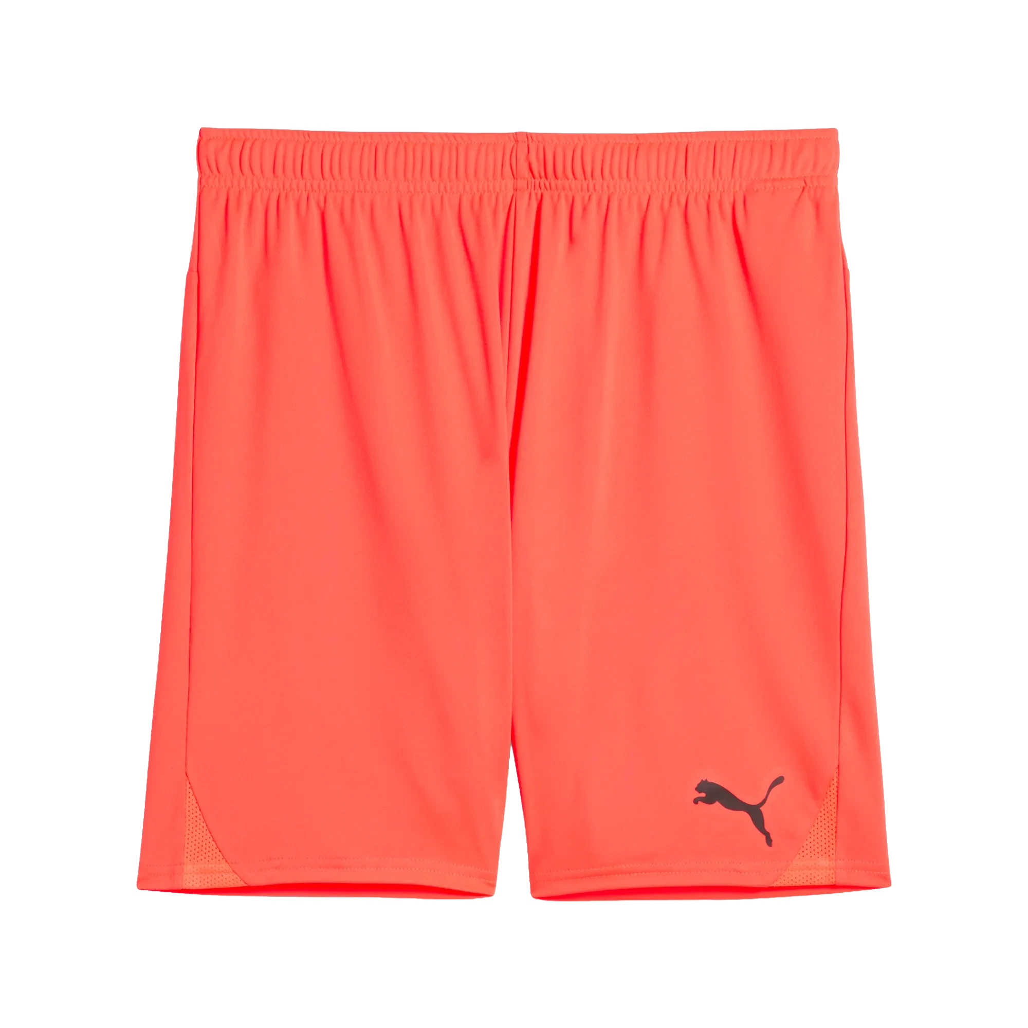 Puma teamGOAL Shorts Herr