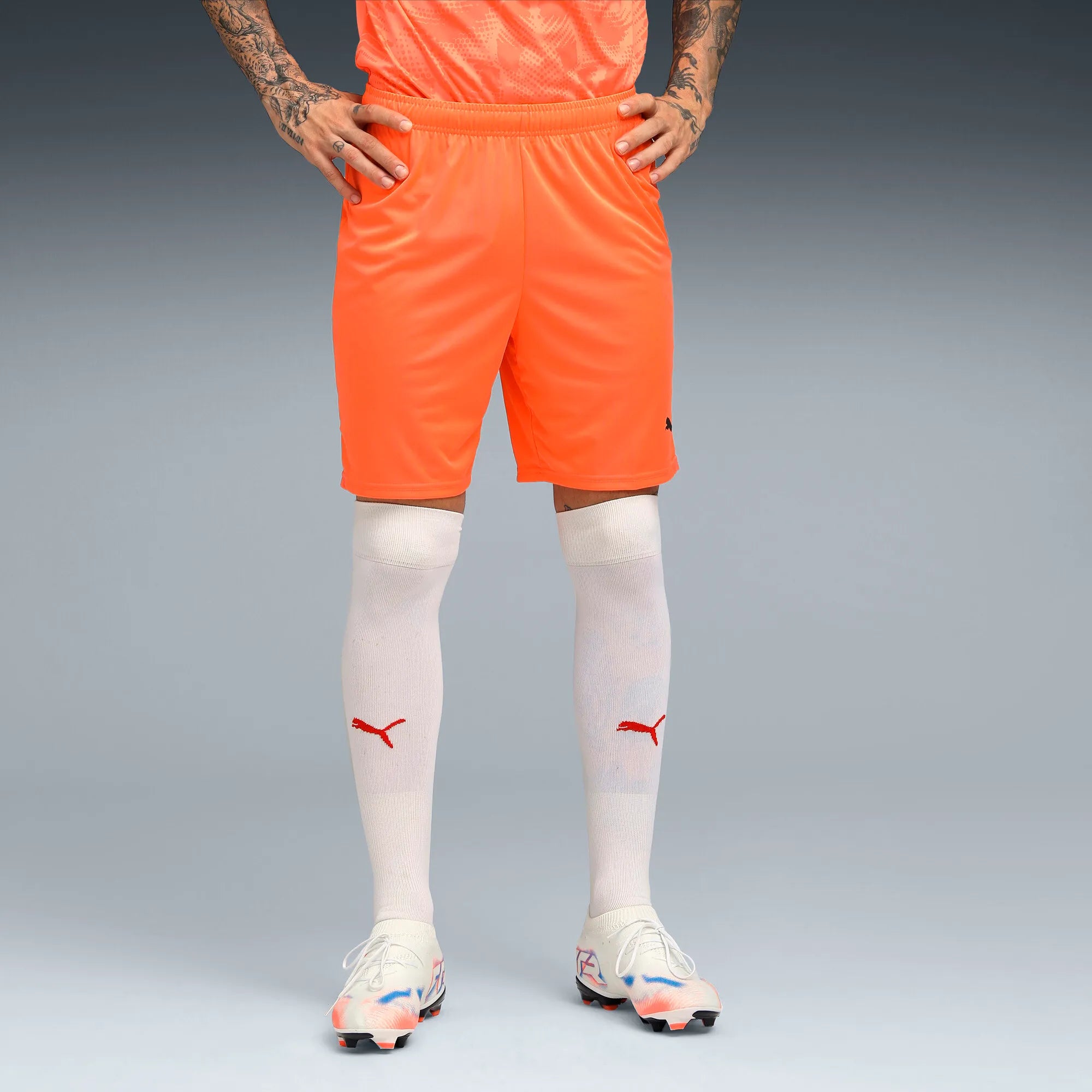 Puma teamGOAL Shorts Herr