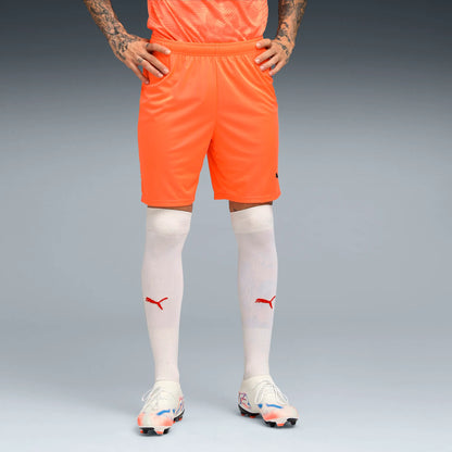 Puma teamGOAL Shorts Herr