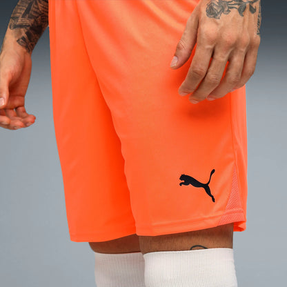 Puma teamGOAL Shorts Herr