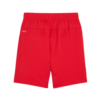 Puma teamGOAL Shorts Barn