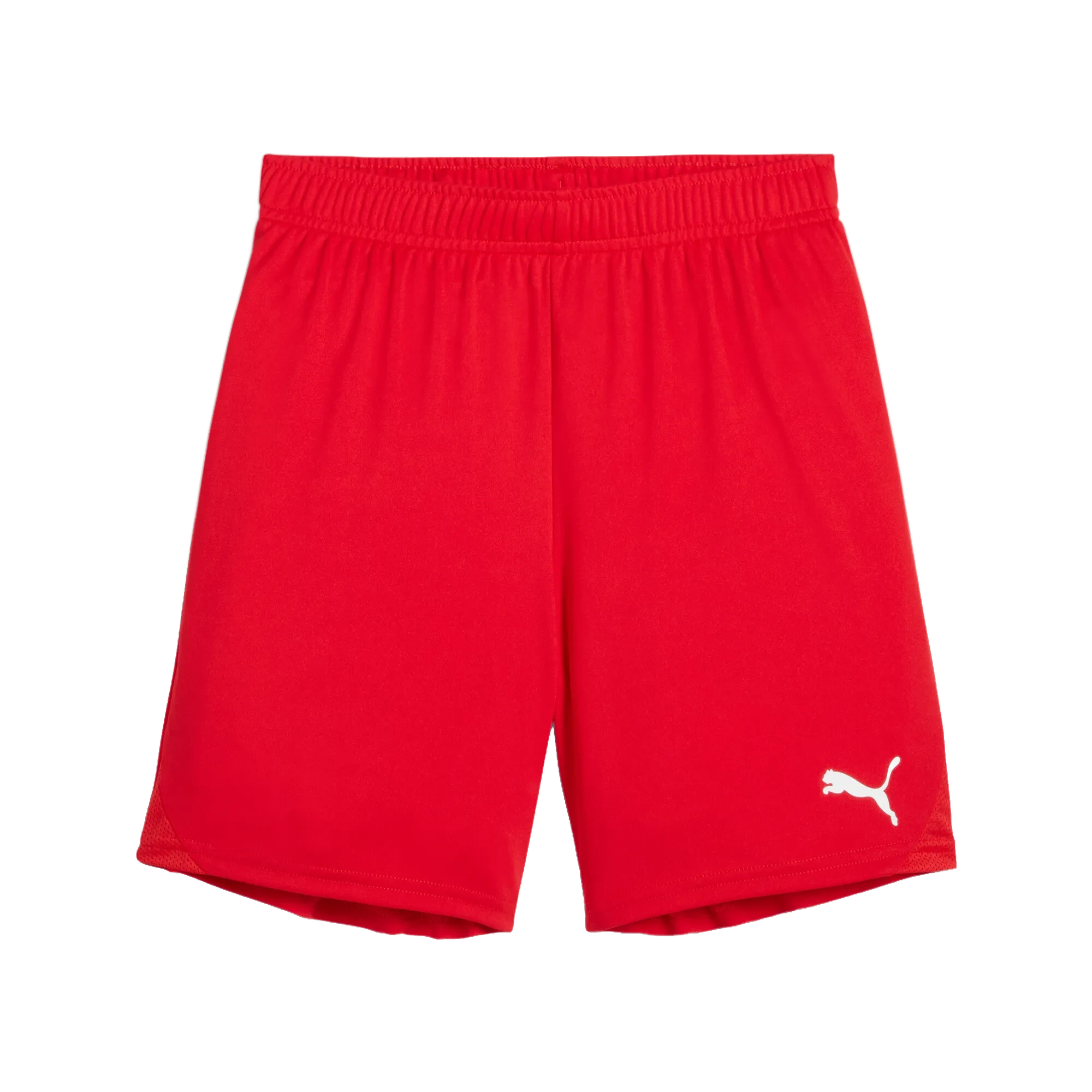 Puma teamGOAL Shorts Barn