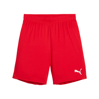 Puma teamGOAL Shorts Barn