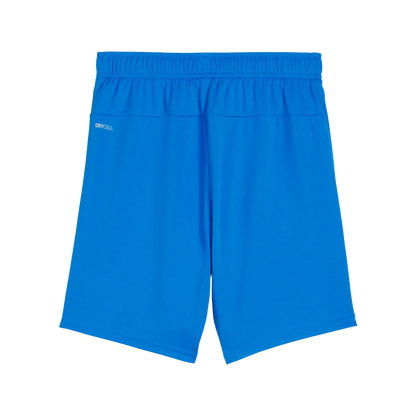 Puma teamGOAL Shorts Barn