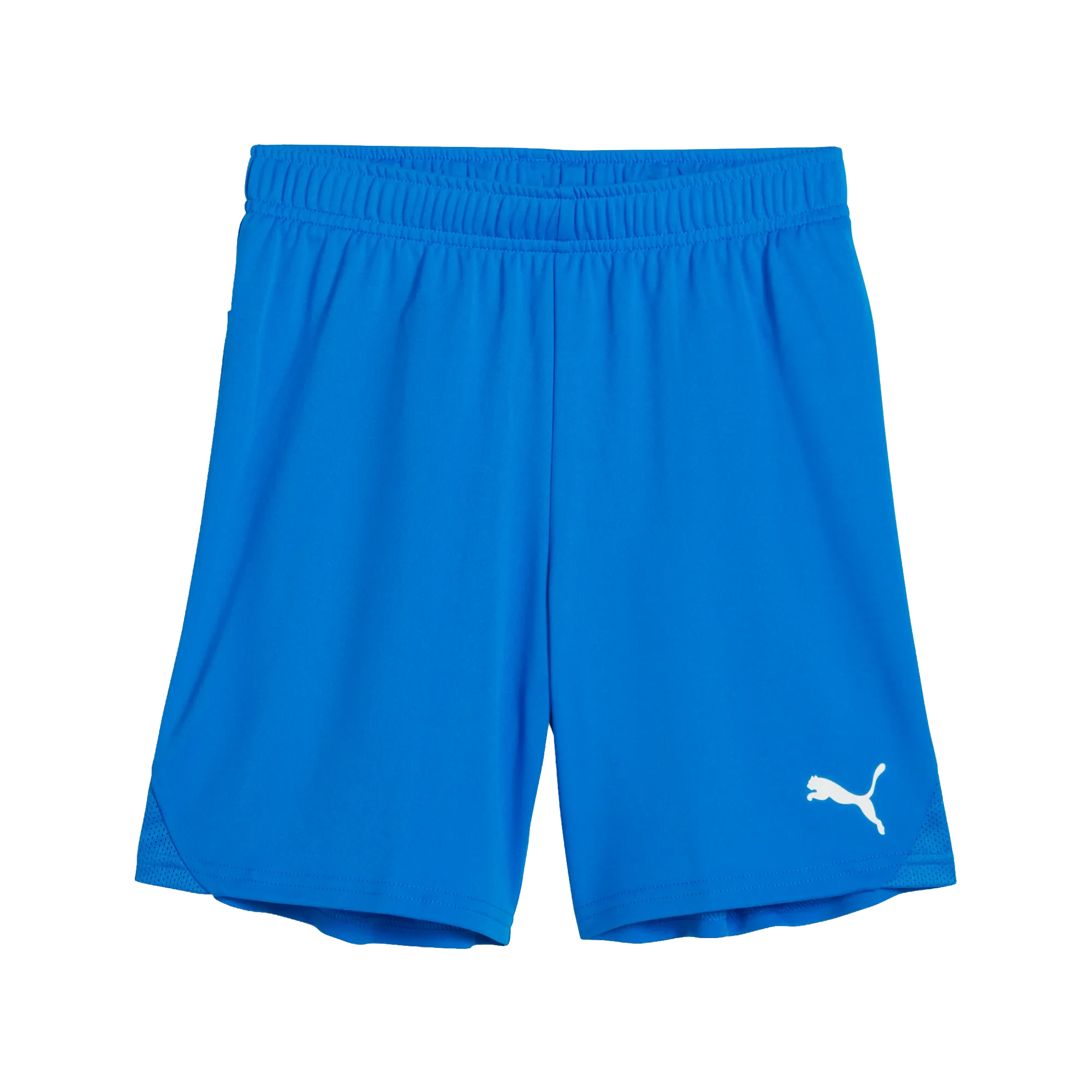 Puma teamGOAL Shorts Barn