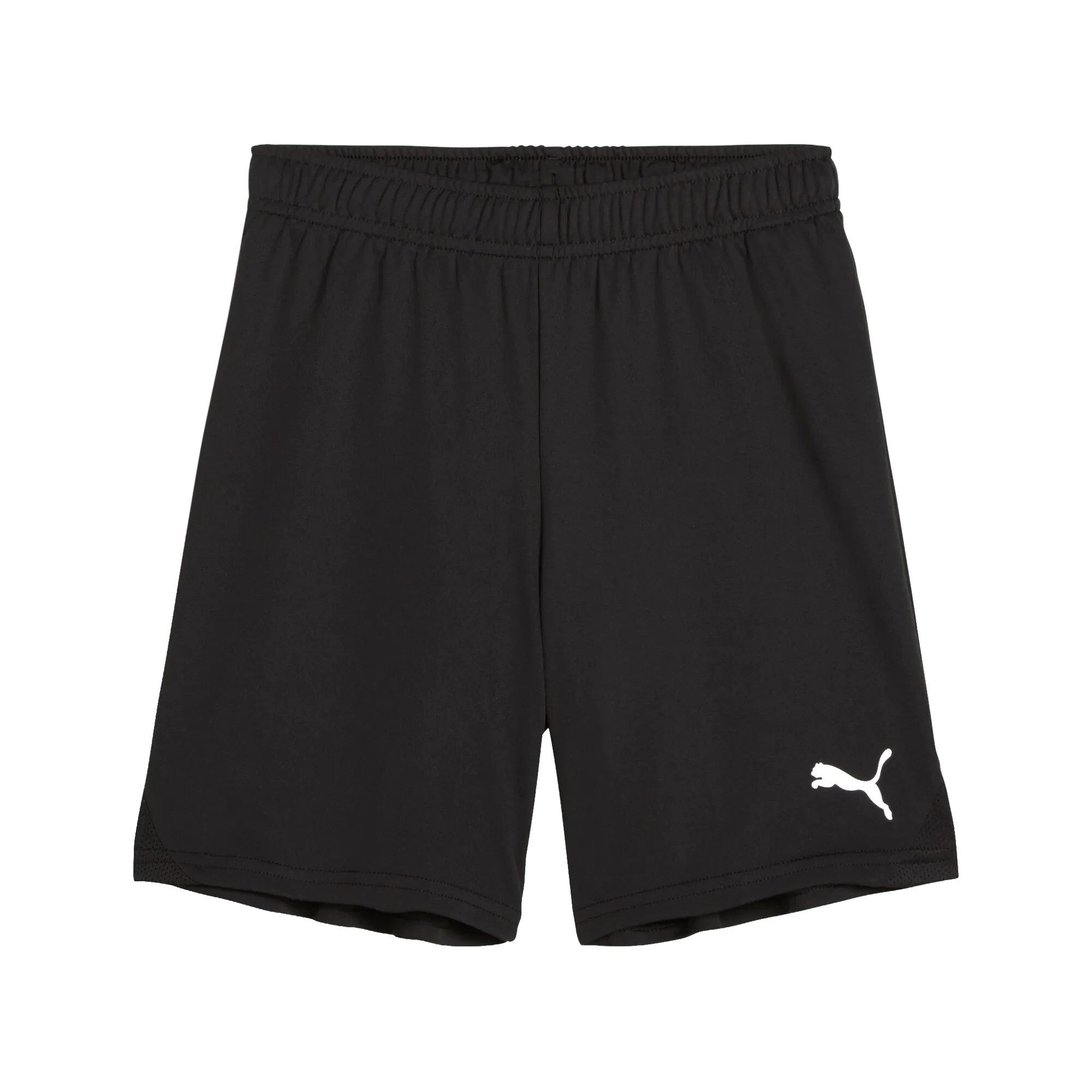 Puma teamGOAL Shorts Barn