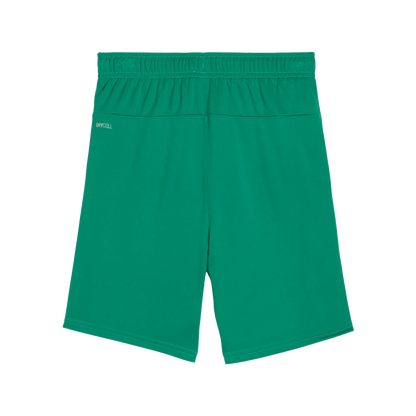 Puma teamGOAL Shorts Barn