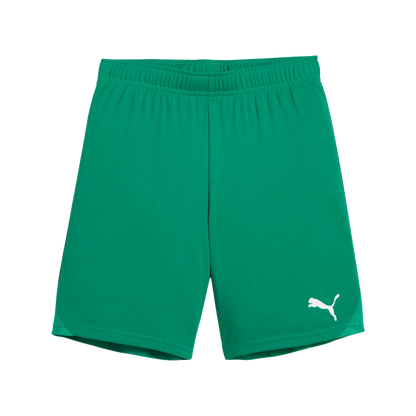 Puma teamGOAL Shorts Barn
