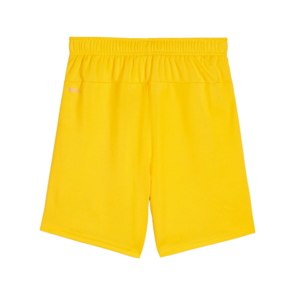 Puma teamGOAL Shorts Barn