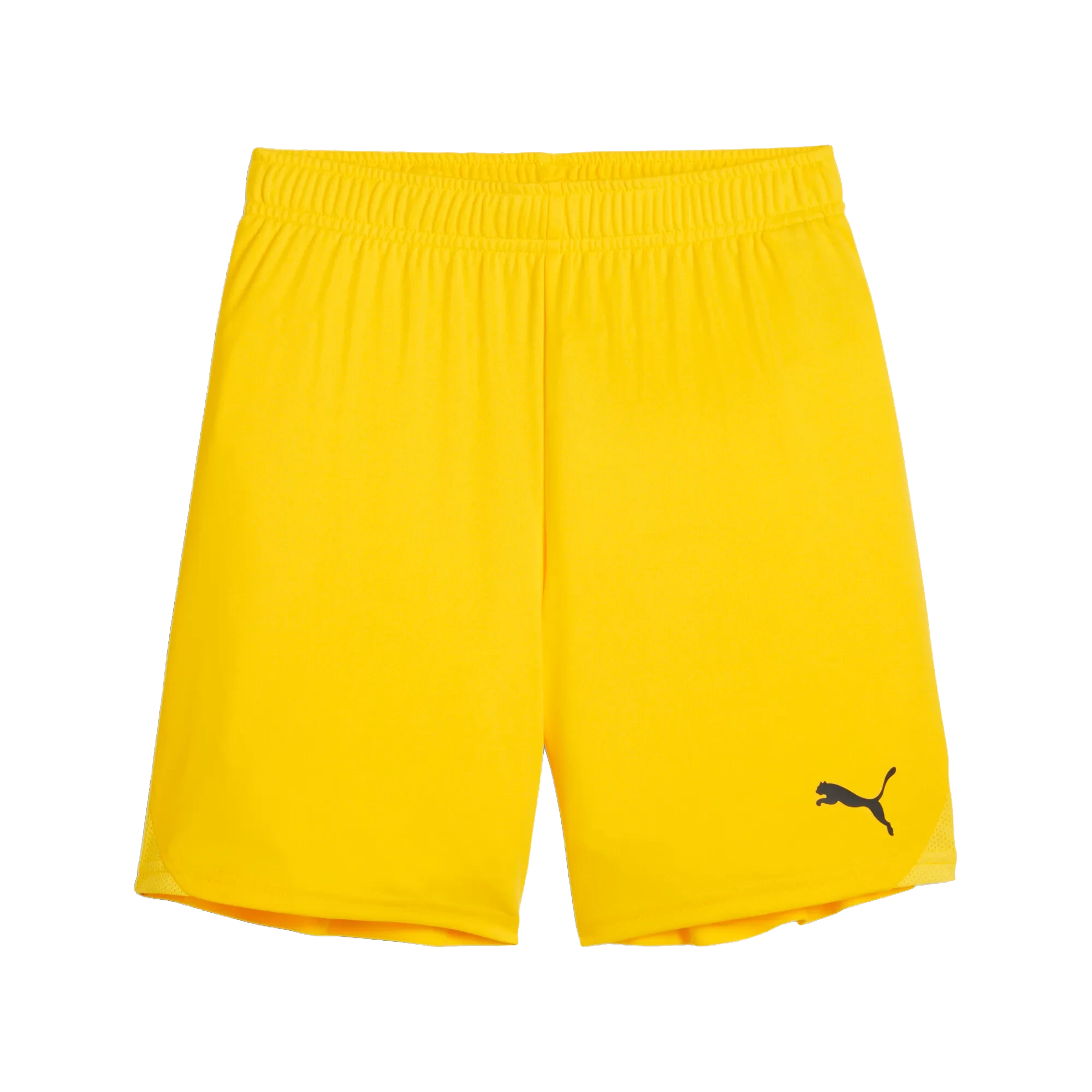 Puma teamGOAL Shorts Barn